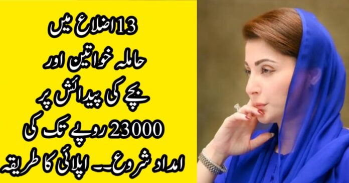CM Punjab Agosh Program for Pregnent Females and on Child Birth