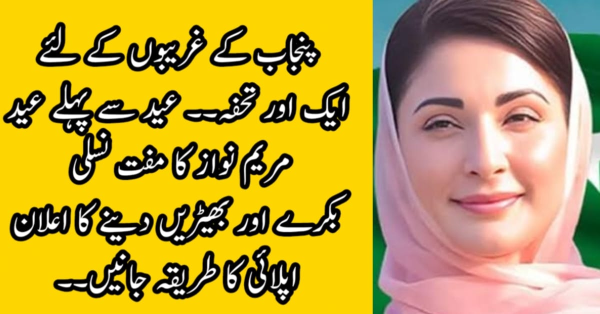 CM Punjab Goats and Sheep Program